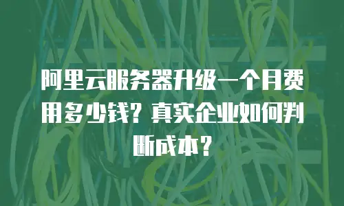 阿里云服务器升级一个月费用多少钱？真实企业如何判断成本？