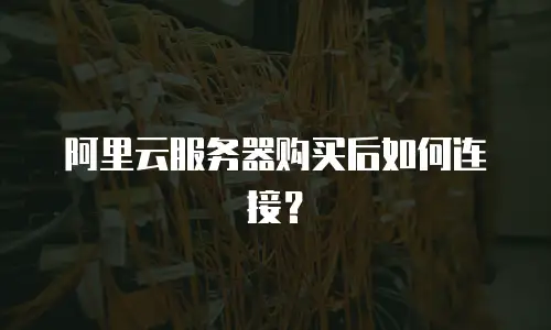 阿里云服务器购买后如何连接？