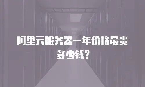 阿里云服务器一年价格最贵多少钱？