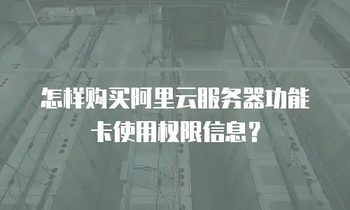 怎样购买阿里云服务器功能卡使用权限信息？