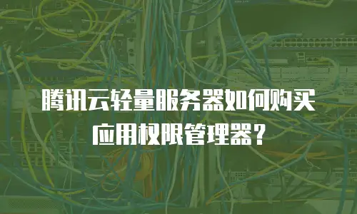 腾讯云轻量服务器如何购买应用权限管理器？