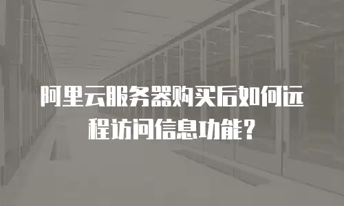 阿里云服务器购买后如何远程访问信息功能？