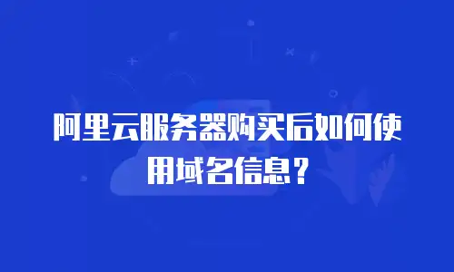 阿里云服务器购买后如何使用域名信息？