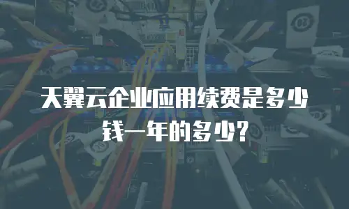 天翼云企业应用续费是多少钱一年的多少？