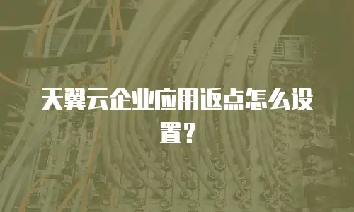 天翼云企业应用返点怎么设置？