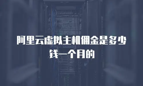 阿里云虚拟主机佣金是多少钱一个月的
