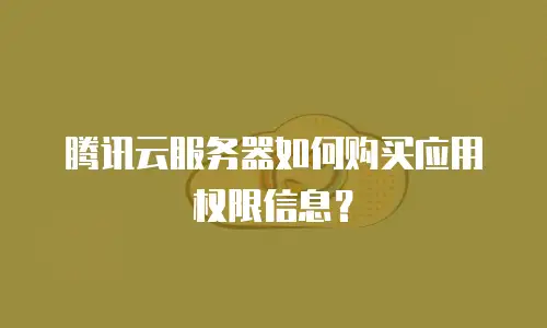 腾讯云服务器如何购买应用权限信息？