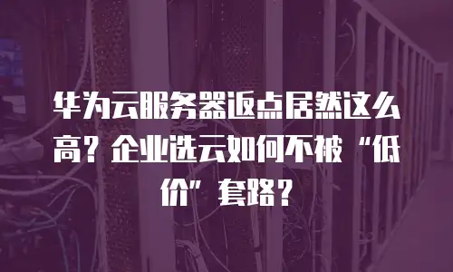 华为云服务器返点居然这么高？企业选云如何不被“低价”套路？