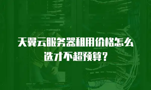 天翼云服务器租用价格怎么选才不超预算？