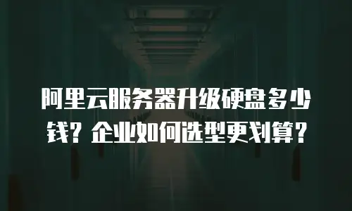 阿里云服务器升级硬盘多少钱？企业如何选型更划算？