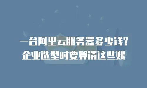 一台阿里云服务器多少钱？企业选型时要算清这些账