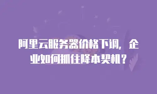 阿里云服务器价格下调，企业如何抓住降本契机？