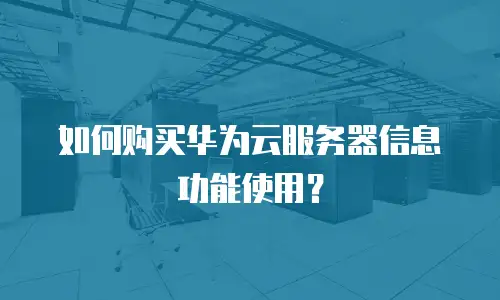 如何购买华为云服务器信息功能使用？