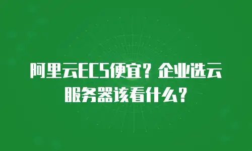 阿里云ECS便宜？企业选云服务器该看什么？