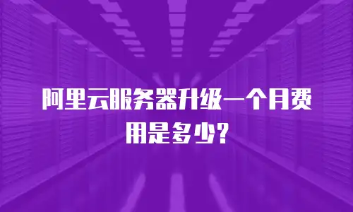 阿里云服务器升级一个月费用是多少？