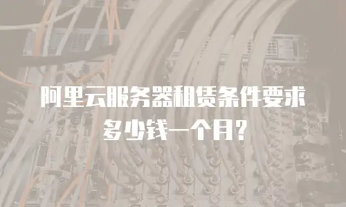 阿里云服务器租赁条件要求多少钱一个月？