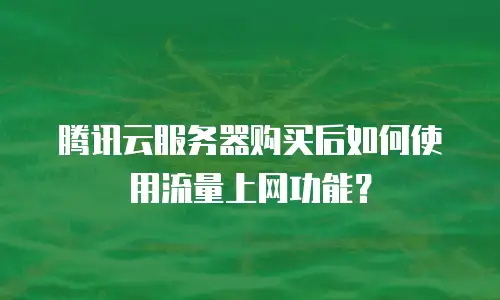 腾讯云服务器购买后如何使用流量上网功能？