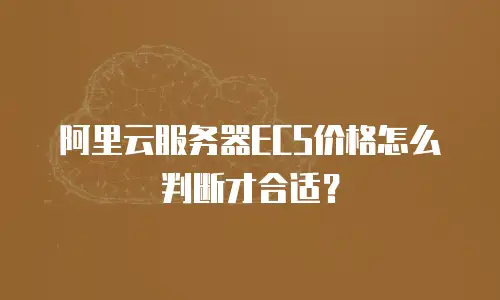 阿里云服务器ECS价格怎么判断才合适？