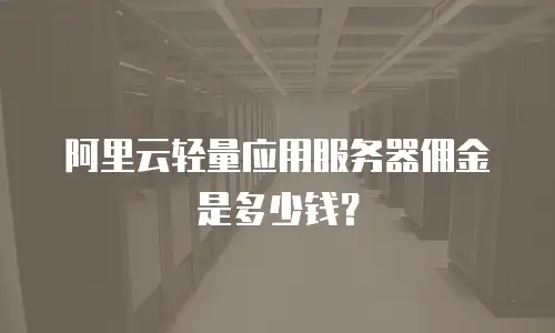 阿里云轻量应用服务器佣金是多少钱？