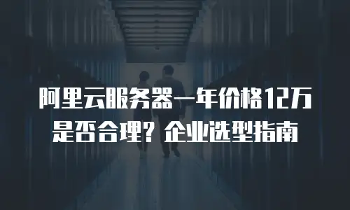阿里云服务器一年价格12万是否合理？企业选型指南