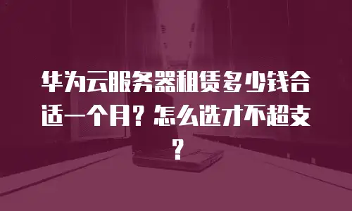 华为云服务器租赁多少钱合适一个月？怎么选才不超支？