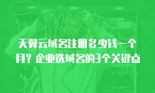 天翼云域名注册多少钱一个月？企业选域名的3个关键点