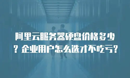 阿里云服务器硬盘价格多少？企业用户怎么选才不吃亏？