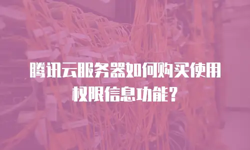 腾讯云服务器如何购买使用权限信息功能？