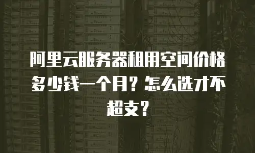 阿里云服务器租用空间价格多少钱一个月？怎么选才不超支？