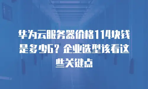 华为云服务器价格114块钱是多少G？企业选型该看这些关键点