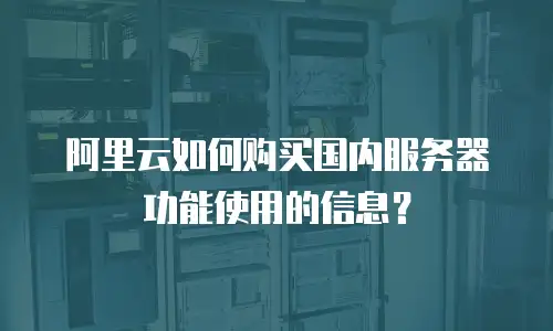 阿里云如何购买国内服务器功能使用的信息？