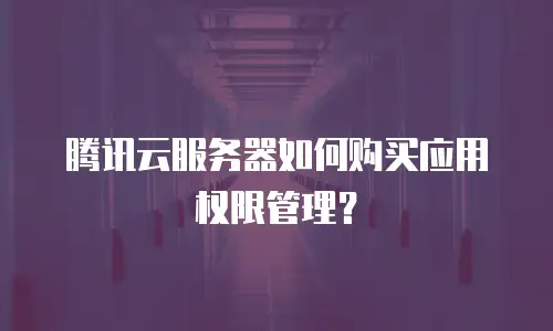 腾讯云服务器如何购买应用权限管理？