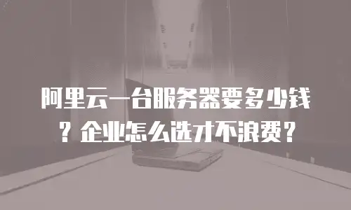 阿里云一台服务器要多少钱？企业怎么选才不浪费？