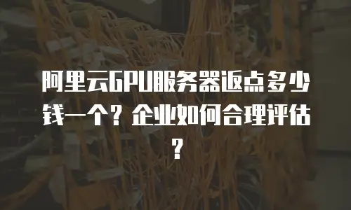 阿里云GPU服务器返点多少钱一个？企业如何合理评估？