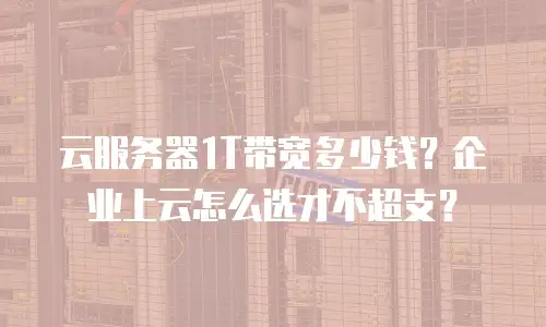 云服务器1T带宽多少钱？企业上云怎么选才不超支？