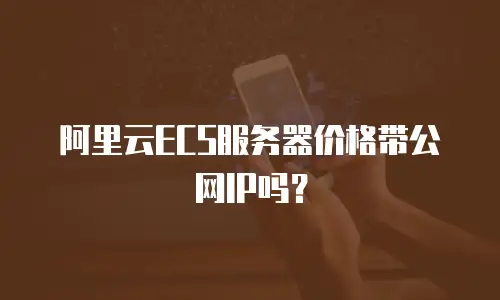 阿里云ECS服务器价格带公网IP吗？