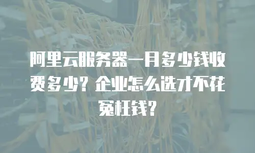 阿里云服务器一月多少钱收费多少？企业怎么选才不花冤枉钱？