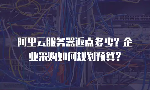 阿里云服务器返点多少？企业采购如何规划预算？