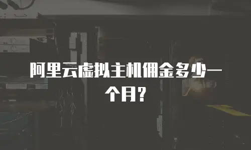 阿里云虚拟主机佣金多少一个月？