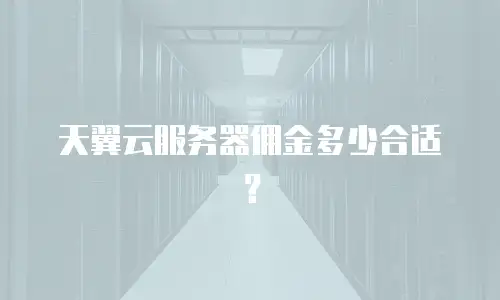 天翼云服务器佣金多少合适？
