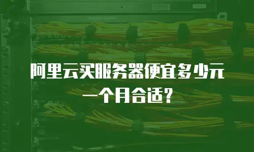 阿里云买服务器便宜多少元一个月合适？