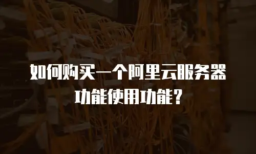 如何购买一个阿里云服务器功能使用功能？