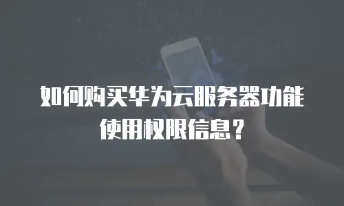 如何购买华为云服务器功能使用权限信息？