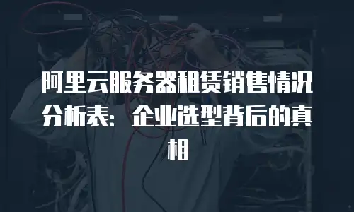 阿里云服务器租赁销售情况分析表：企业选型背后的真相