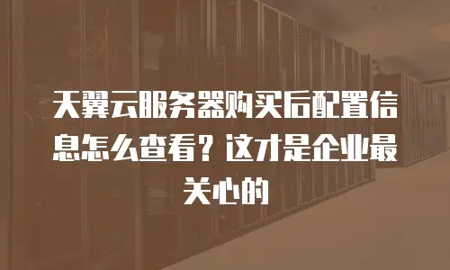天翼云服务器购买后配置信息怎么查看？这才是企业最关心的