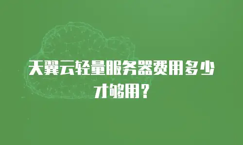 天翼云轻量服务器费用多少才够用？