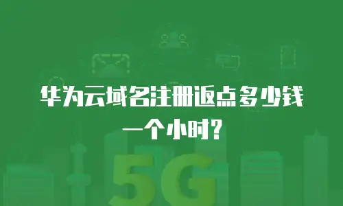 华为云域名注册返点多少钱一个小时？