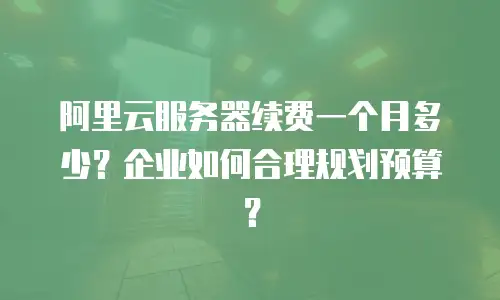 阿里云服务器续费一个月多少？企业如何合理规划预算？