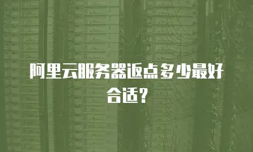 阿里云服务器返点多少最好合适？