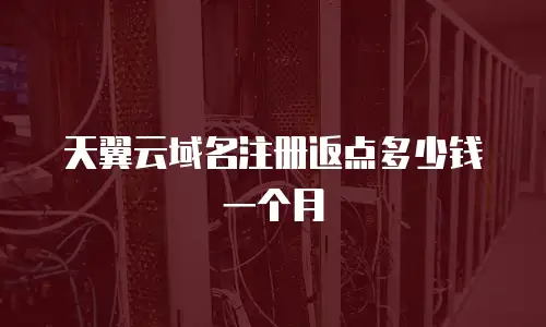 天翼云域名注册返点多少钱一个月